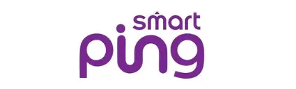 Smart Ping